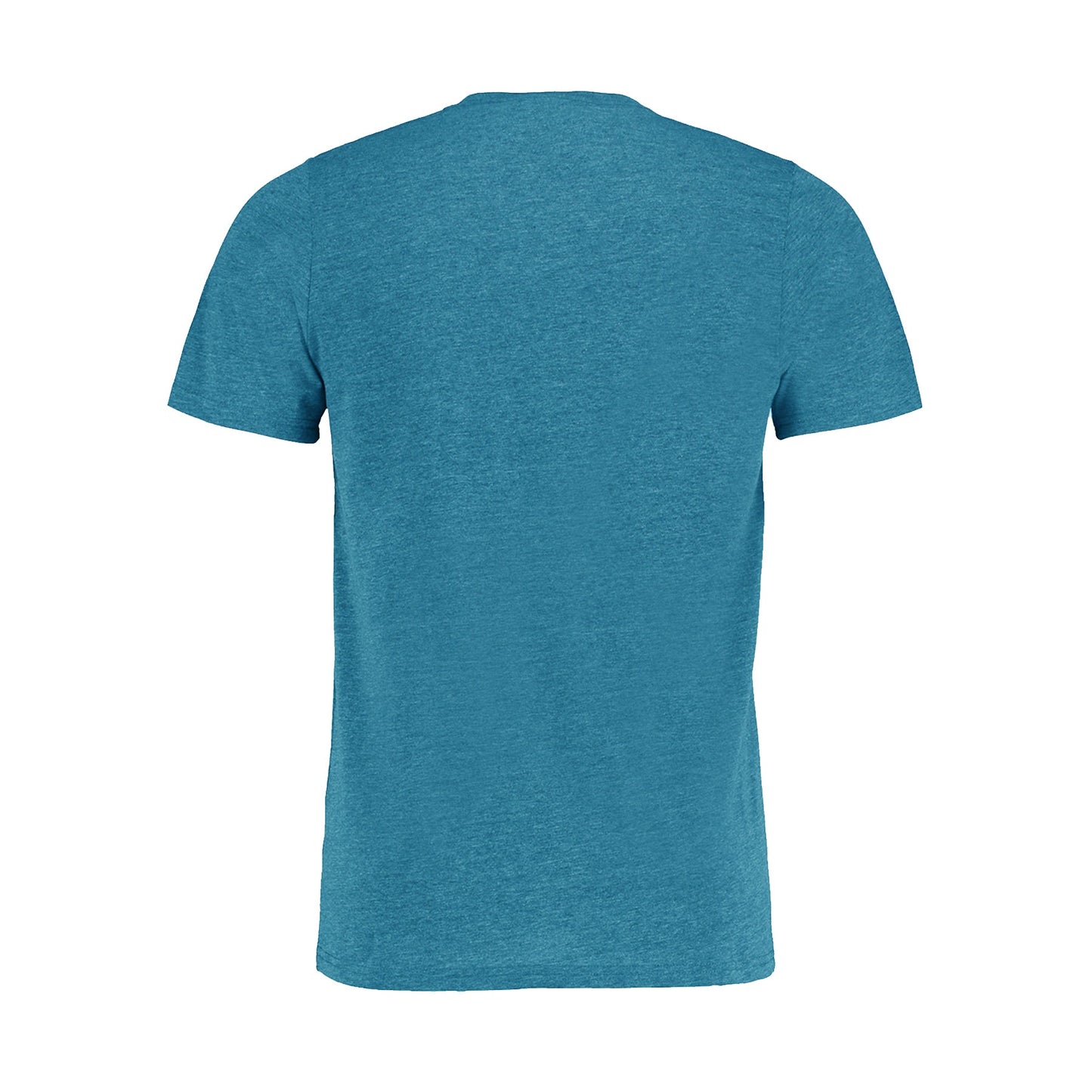Remera Dojo Celeste